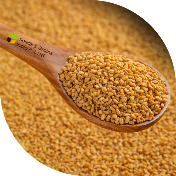 Fenugreek seed