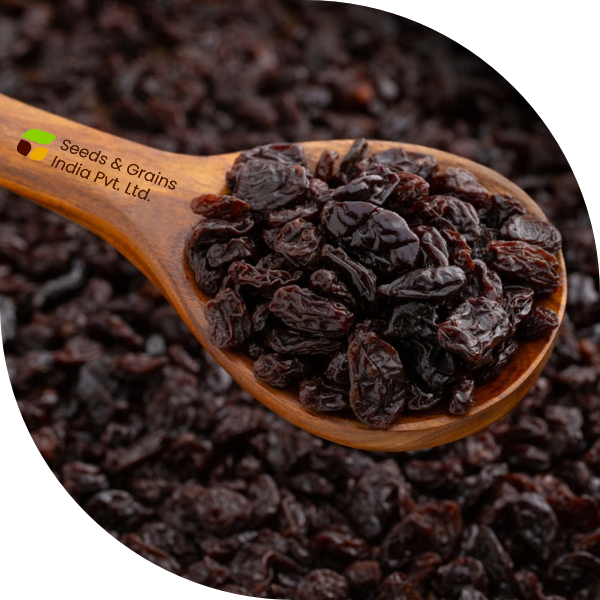 Brown Raisins