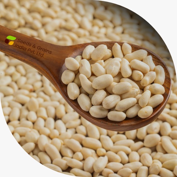 Peanuts Blanched Whole