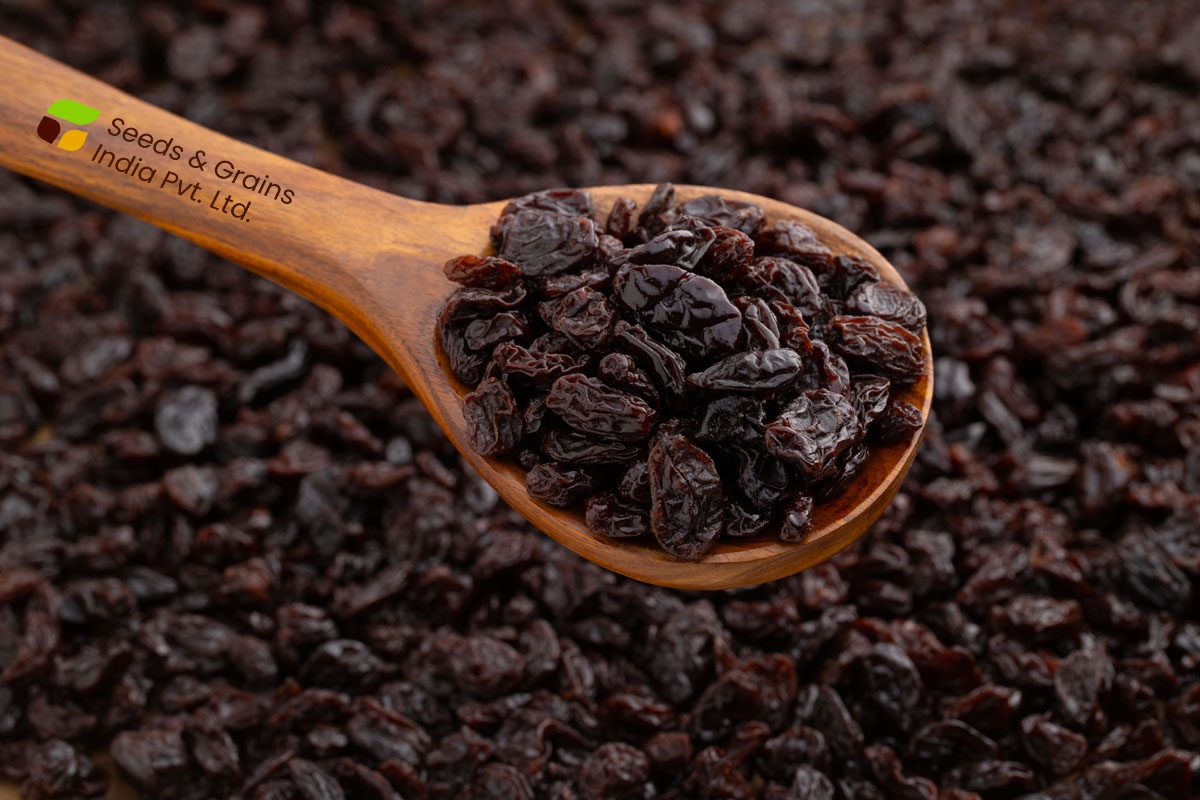 Brown Raisins