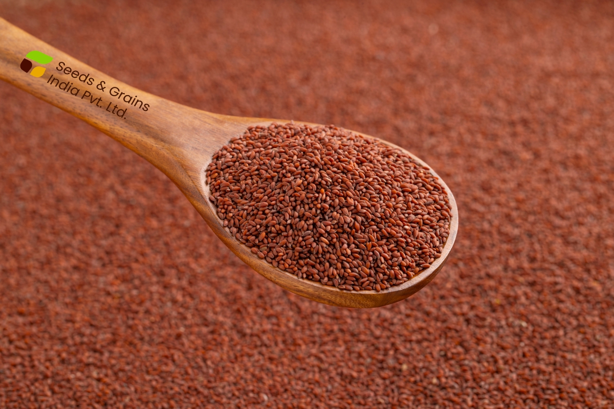 Asaliya Seeds